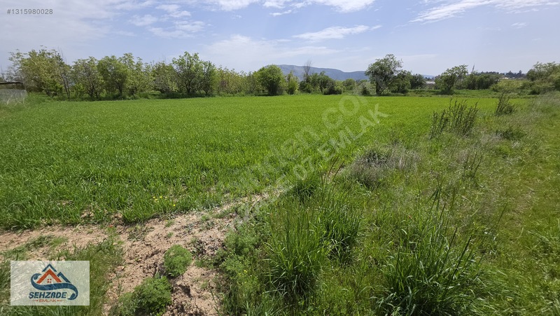 Bozova'da 1.766 M² Satılık Tarla - Yol Cepheli, Sulama İmkanlı — fotoğraf 11