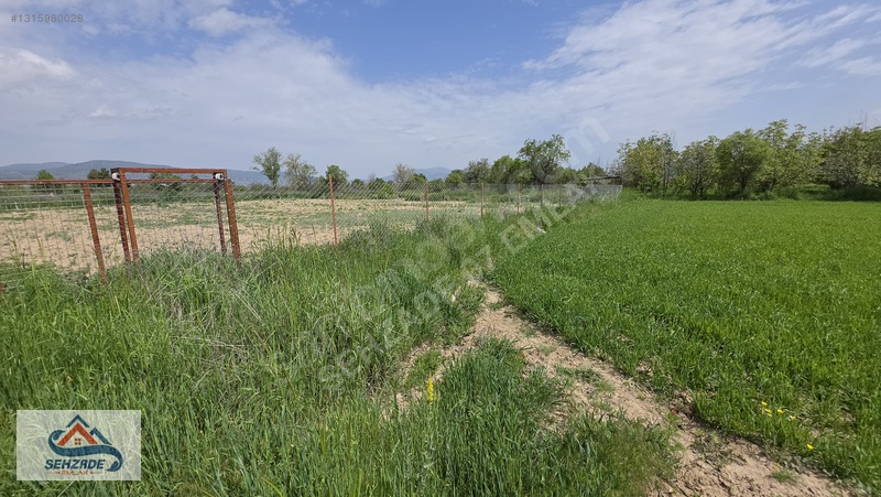Bozova'da 1.766 M² Satılık Tarla - Yol Cepheli, Sulama İmkanlı — fotoğraf 15