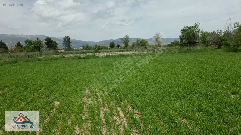 Bozova'da 1.766 M² Satılık Tarla - Yol Cepheli, Sulama İmkanlı — fotoğraf 17