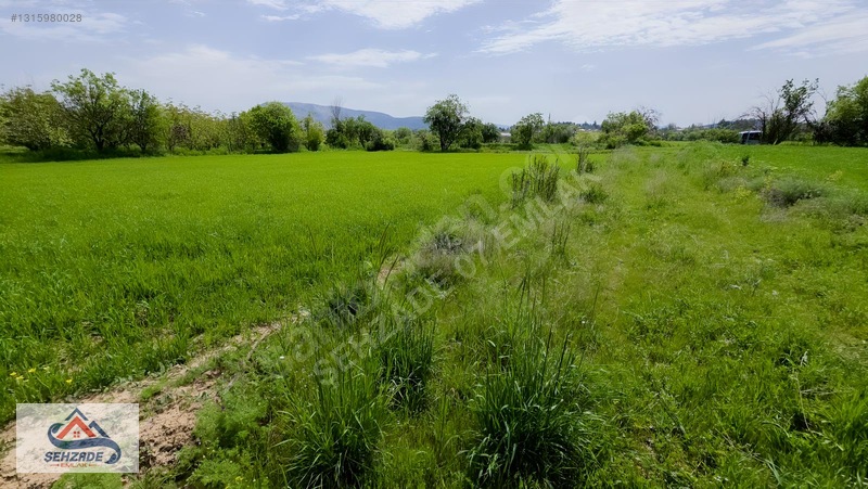Bozova'da 1.766 M² Satılık Tarla - Yol Cepheli, Sulama İmkanlı — fotoğraf 18