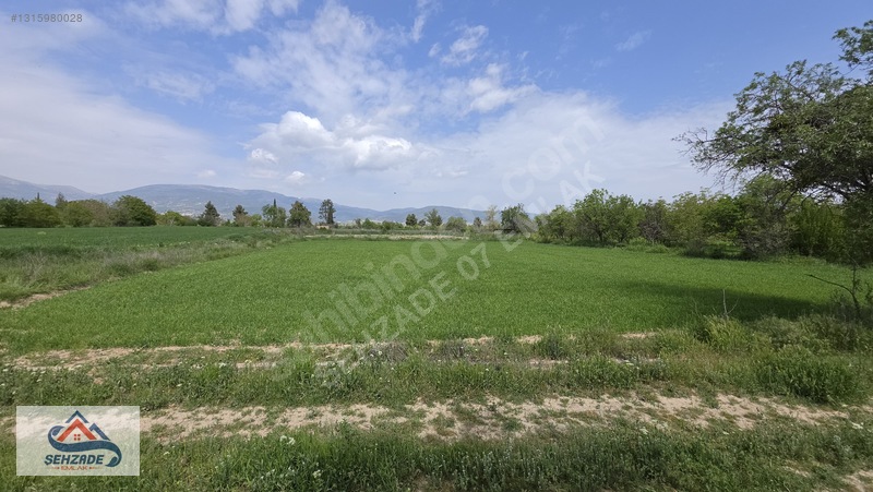 Bozova'da 1.766 M² Satılık Tarla - Yol Cepheli, Sulama İmkanlı — fotoğraf 28