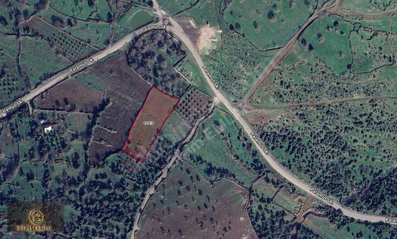 Bizim Emlak-Karakuzu Köyü Civarı 4.972 M2 Satılık Tarla