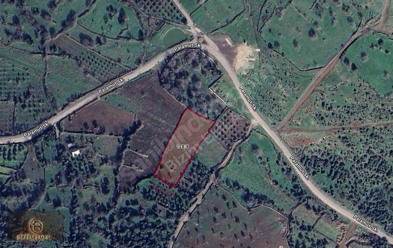 Bizim Emlak-karakuzu Köyü Civarı 4.972 M2 Satılık Tarla — fotoğraf 4