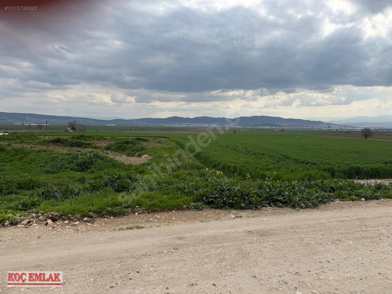 Dereköyde Yatırımlık Tek Tapu Tarla