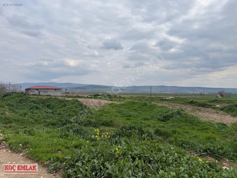 Dereköyde Yatırımlık Tek Tapu Tarla — fotoğraf 2