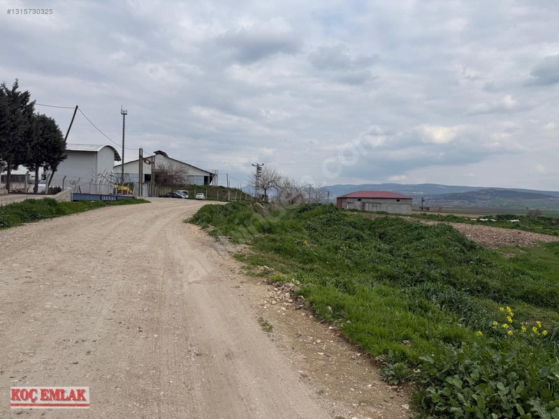Dereköyde Yatırımlık Tek Tapu Tarla — fotoğraf 3