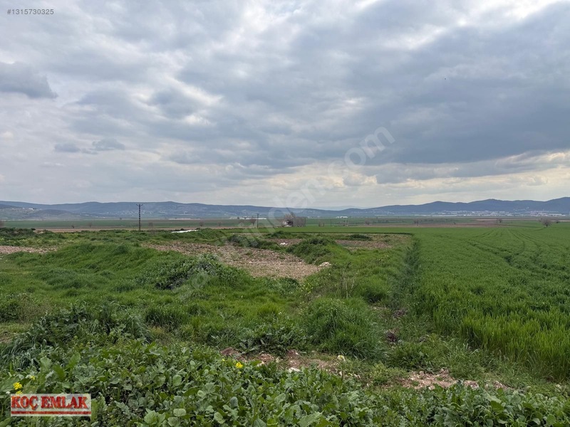 Dereköyde Yatırımlık Tek Tapu Tarla — fotoğraf 4