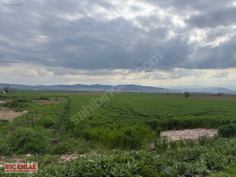 Dereköyde Yatırımlık Tek Tapu Tarla — fotoğraf 5