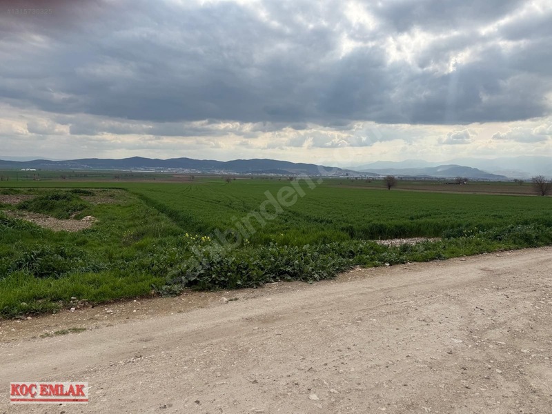 Dereköyde Yatırımlık Tek Tapu Tarla — fotoğraf 6