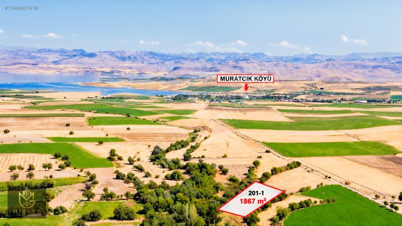 Elazığ Merkez Unguzek Köyünde Uygun Fıyata Satılık Tarla — fotoğraf 4