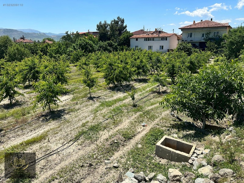 Kemalpaşa Da Satılık 2.300+700 = 3.000 M2 Arsa — fotoğraf 3