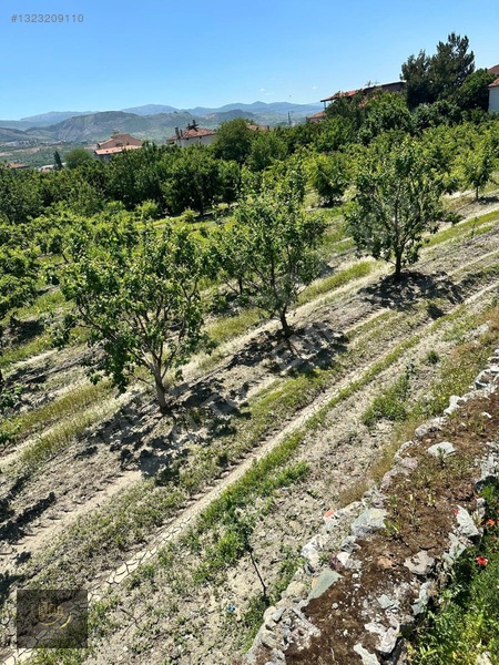 Kemalpaşa Da Satılık 2.300+700 = 3.000 M2 Arsa — fotoğraf 4