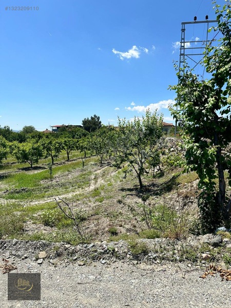 Kemalpaşa Da Satılık 2.300+700 = 3.000 M2 Arsa — fotoğraf 5