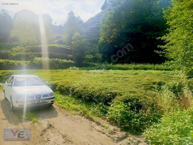 Bölgenin En Ucuzu Satılık Cay Bahçesi İyidere Kalecik Köyü — fotoğraf 12