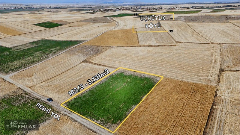 Altıntaş Üçhüyük'Te 3121M2 Kadastro Yolu Olan Satılık Tarla