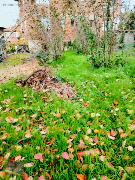 Kibaroğlundan Satılık Ev — fotoğraf 2