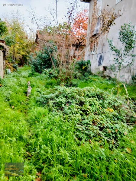 Kibaroğlundan Satılık Ev — fotoğraf 4