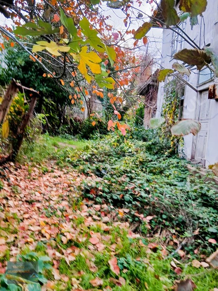 Kibaroğlundan Satılık Ev — fotoğraf 6