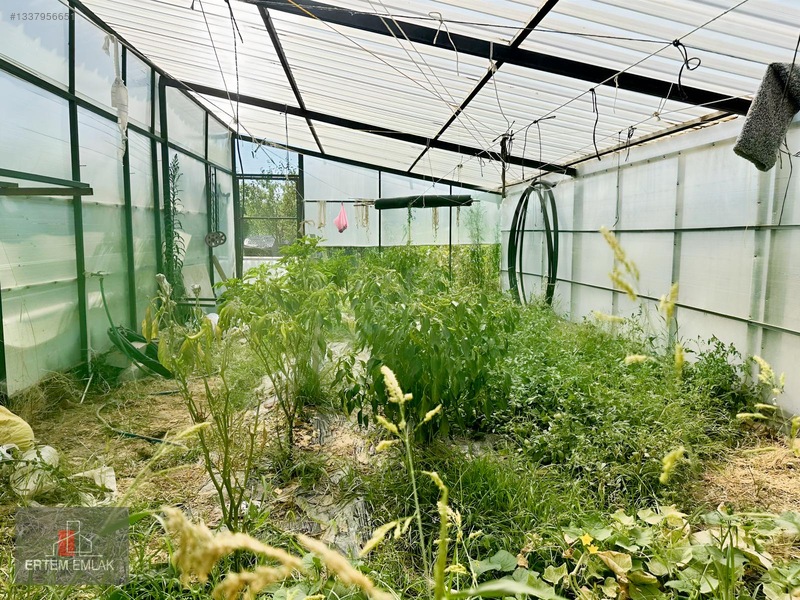 Manisa Yunusemre Osmancalı Satılık Müstakil 600 M2 Bahçeli Ev — fotoğraf 12