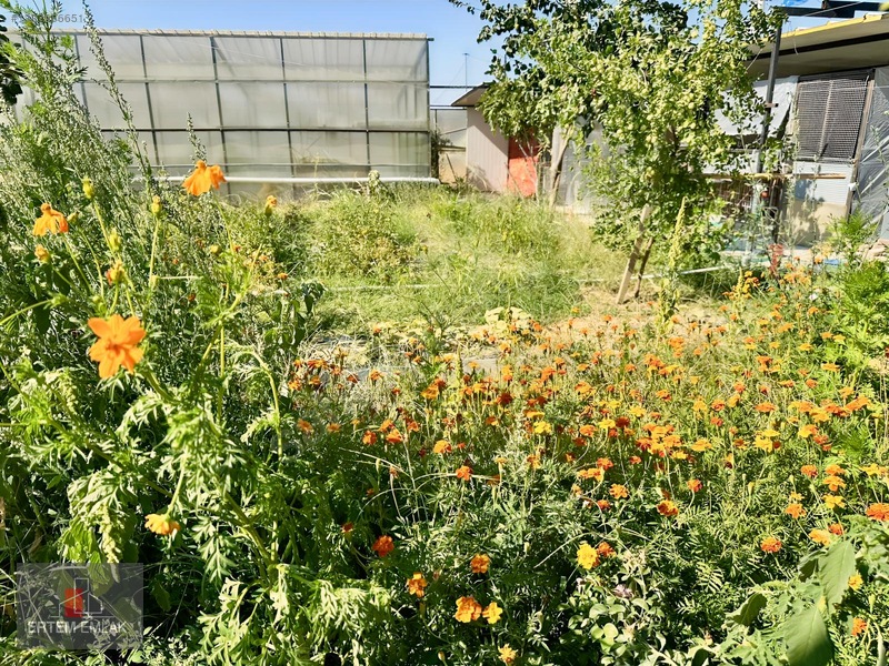 Manisa Yunusemre Osmancalı Satılık Müstakil 600 M2 Bahçeli Ev — fotoğraf 32