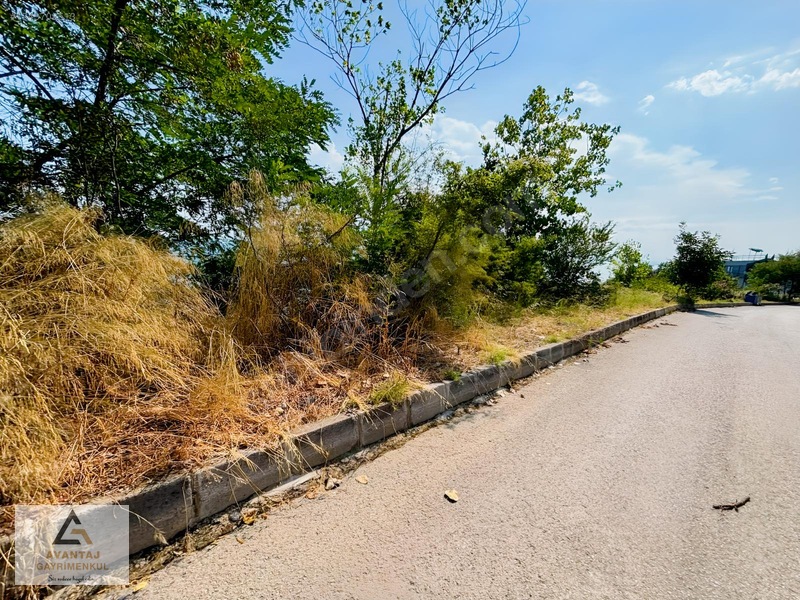 Canik Hasköy Full Deniz Manzaralı Satılık İmarlı Arsa — fotoğraf 2