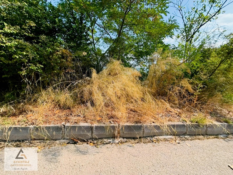 Canik Hasköy Full Deniz Manzaralı Satılık İmarlı Arsa — fotoğraf 3