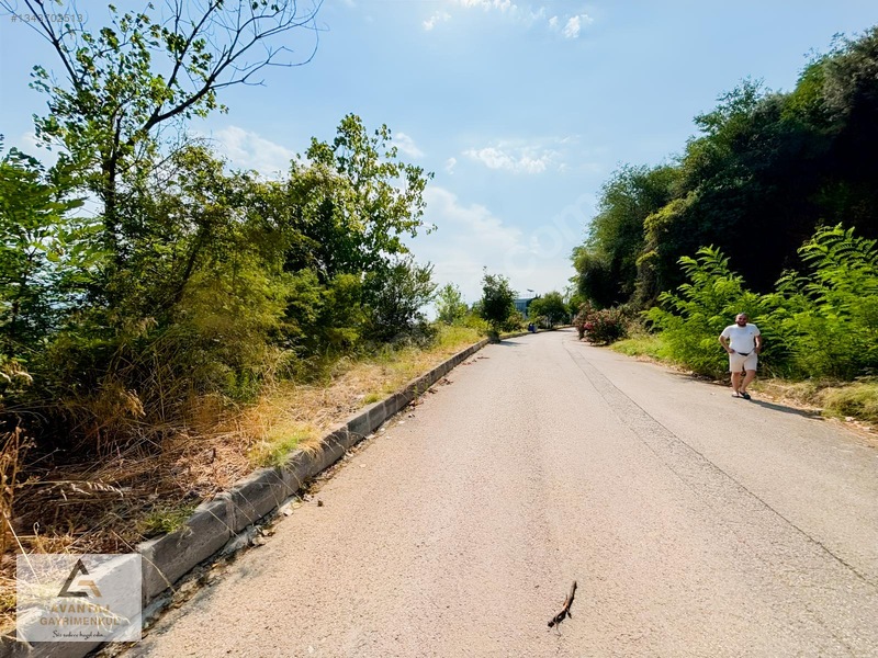 Canik Hasköy Full Deniz Manzaralı Satılık İmarlı Arsa — fotoğraf 19