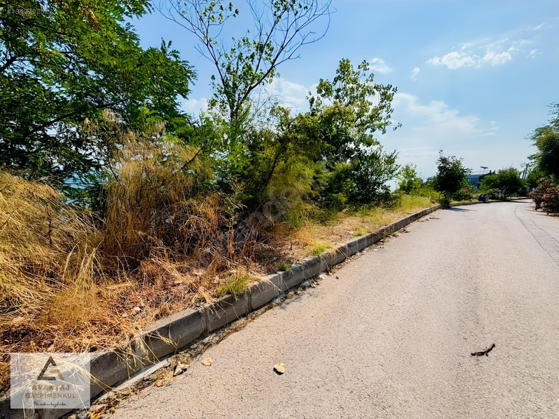 Canik Hasköy Full Deniz Manzaralı Satılık İmarlı Arsa — fotoğraf 22