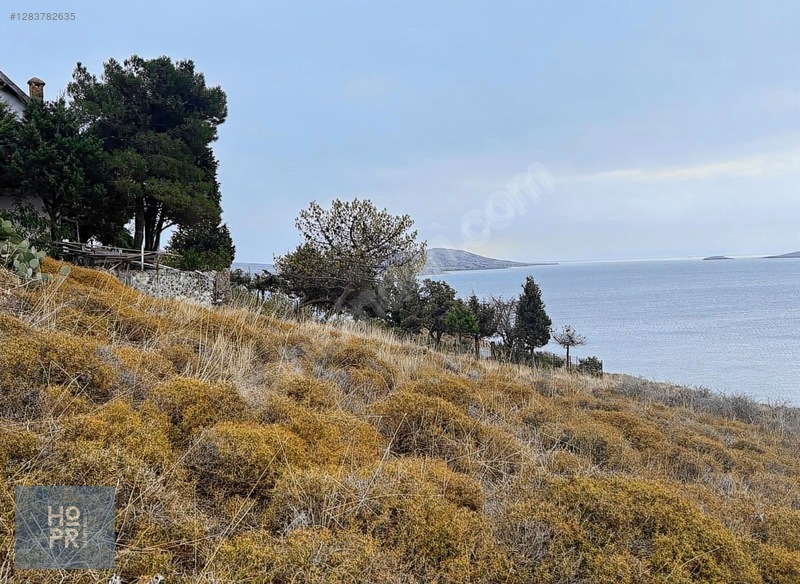 Koyun Adası'nda Denize Sadece 80 Metre Mesafede! 350 M² Arsa — fotoğraf 2