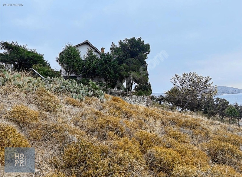Koyun Adası'nda Denize Sadece 80 Metre Mesafede! 350 M² Arsa — fotoğraf 3