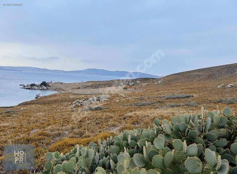 Koyun Adası'nda Denize Sadece 80 Metre Mesafede! 350 M² Arsa — fotoğraf 8