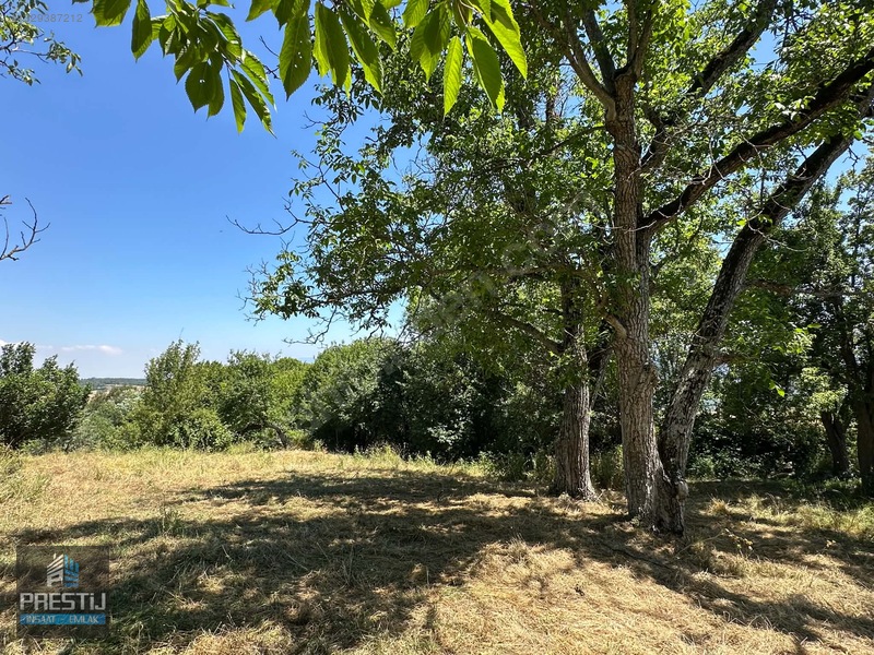 Prestij_abant Yenisefa_satılık 1.445 M2 Bahçe_fırsat Fiyat! — fotoğraf 3