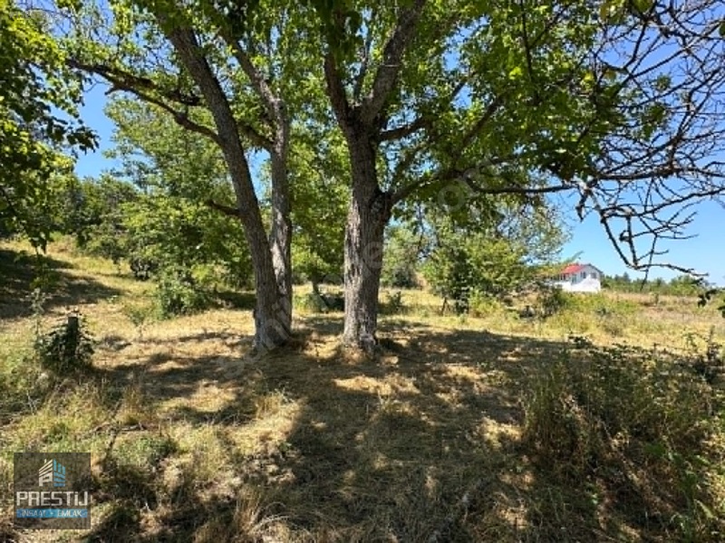 Prestij_abant Yenisefa_satılık 1.445 M2 Bahçe_fırsat Fiyat! — fotoğraf 4