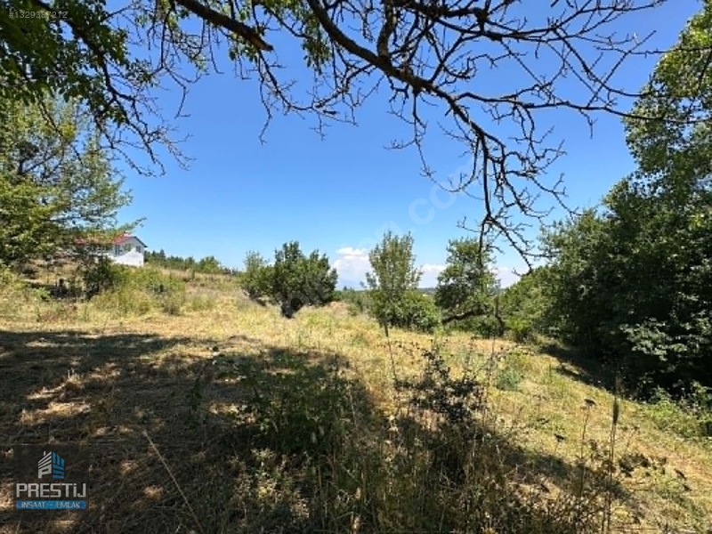 Prestij_abant Yenisefa_satılık 1.445 M2 Bahçe_fırsat Fiyat! — fotoğraf 6