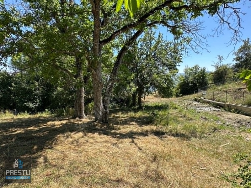 Prestij_abant Yenisefa_satılık 1.445 M2 Bahçe_fırsat Fiyat! — fotoğraf 7