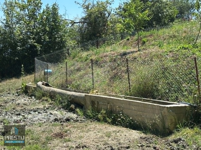 Prestij_abant Yenisefa_satılık 1.445 M2 Bahçe_fırsat Fiyat! — fotoğraf 12