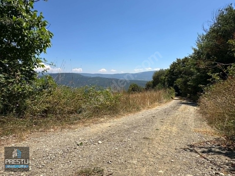 Prestij_abant Yenisefa_satılık 1.445 M2 Bahçe_fırsat Fiyat! — fotoğraf 15