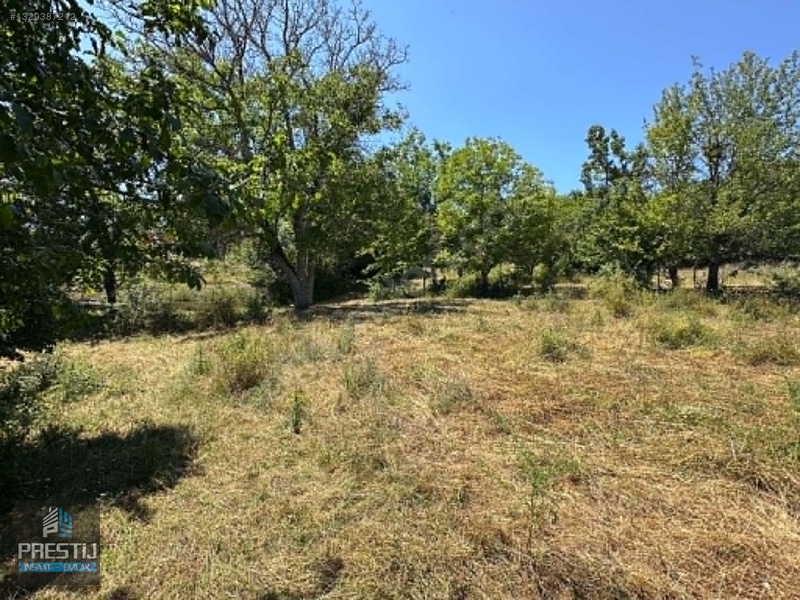 Prestij_abant Yenisefa_satılık 1.445 M2 Bahçe_fırsat Fiyat! — fotoğraf 17