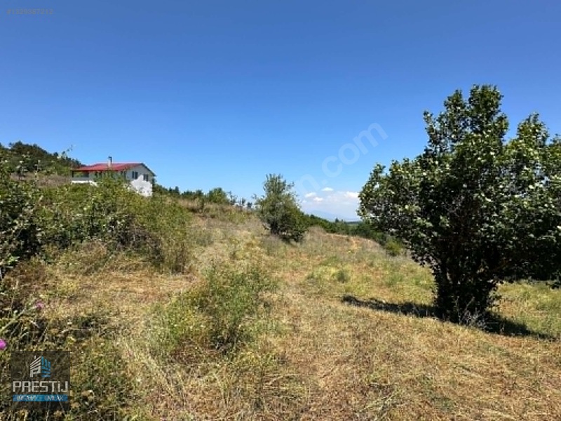Prestij_abant Yenisefa_satılık 1.445 M2 Bahçe_fırsat Fiyat! — fotoğraf 19