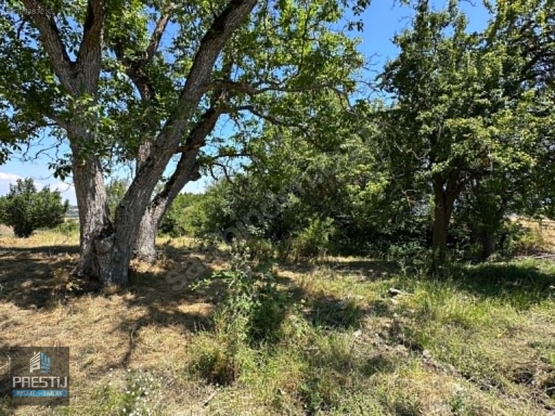 Prestij_abant Yenisefa_satılık 1.445 M2 Bahçe_fırsat Fiyat! — fotoğraf 22