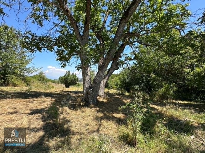 Prestij_abant Yenisefa_satılık 1.445 M2 Bahçe_fırsat Fiyat! — fotoğraf 26