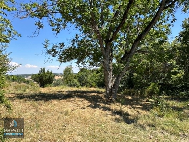 Prestij_abant Yenisefa_satılık 1.445 M2 Bahçe_fırsat Fiyat! — fotoğraf 29