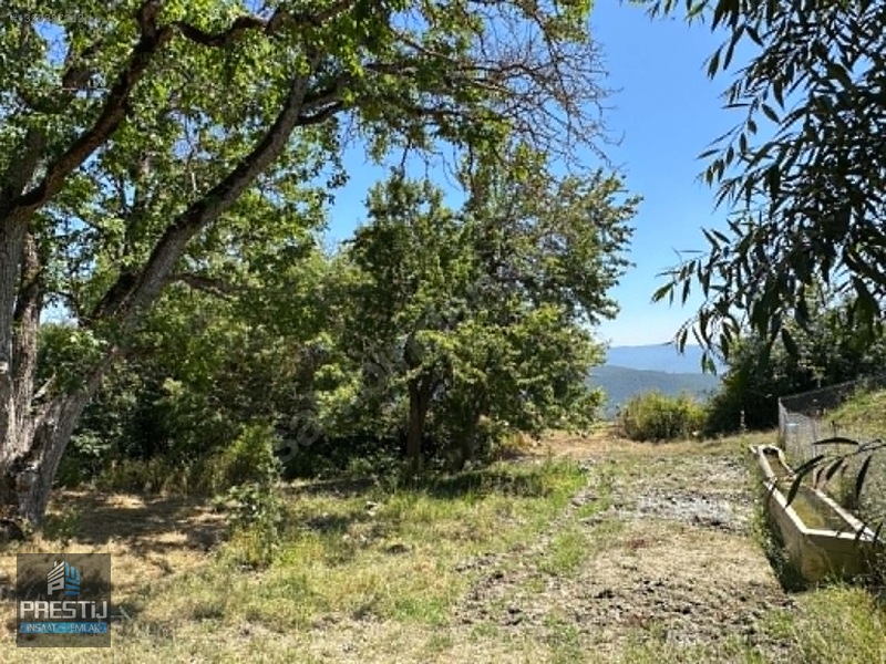 Prestij_abant Yenisefa_satılık 1.445 M2 Bahçe_fırsat Fiyat! — fotoğraf 30