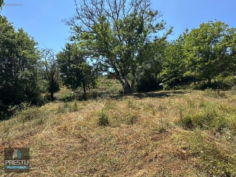 Prestij_abant Yenisefa_satılık 1.445 M2 Bahçe_fırsat Fiyat! — fotoğraf 31