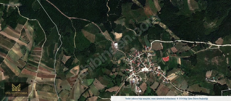 Kandıra Kabaağaç Köyünde 1580 M2 % 5 İmarlı Yollu Tarla — fotoğraf 4