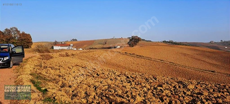 Düzgün Babadan Villa Ve Ev Yapmaya Hazır İmarlı Ve Yollu Parsel