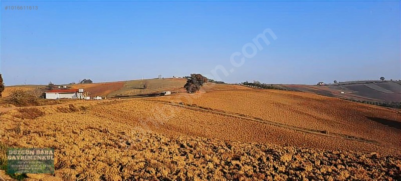 Düzgün Babadan Villa Ve Ev Yapmaya Hazır İmarlı Ve Yollu Parsel — fotoğraf 2