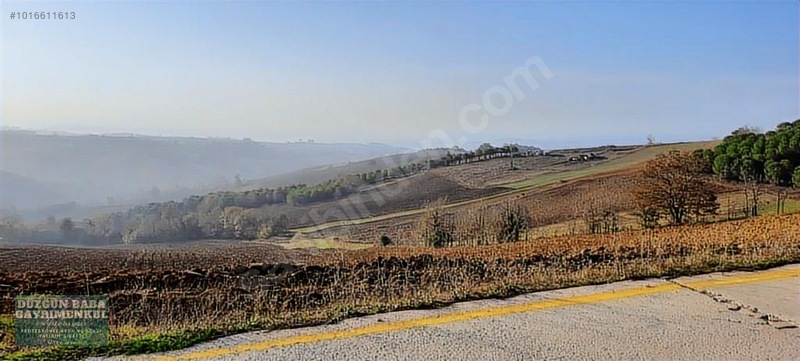 Düzgün Babadan Villa Ve Ev Yapmaya Hazır İmarlı Ve Yollu Parsel — fotoğraf 3