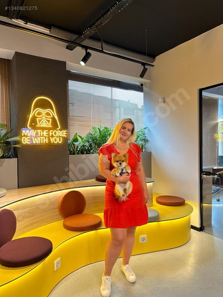 Kurumsala Hazır Eşyalı Anahtar Teslimi Ofis — fotoğraf 6