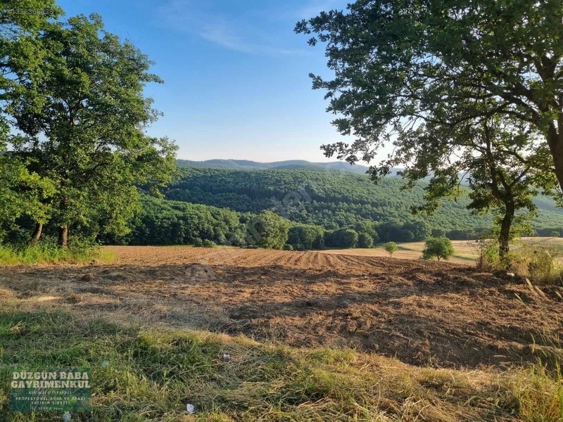 Düzgün Babadan Derince Geredeli'de Asfalt Cepheli Kiralık Arazi — fotoğraf 2
